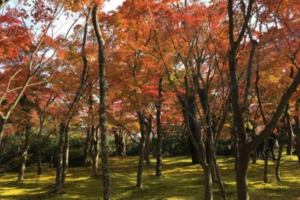 Villa Ek House Hakone Shushinso 箱根修身荘 Extérieur photo